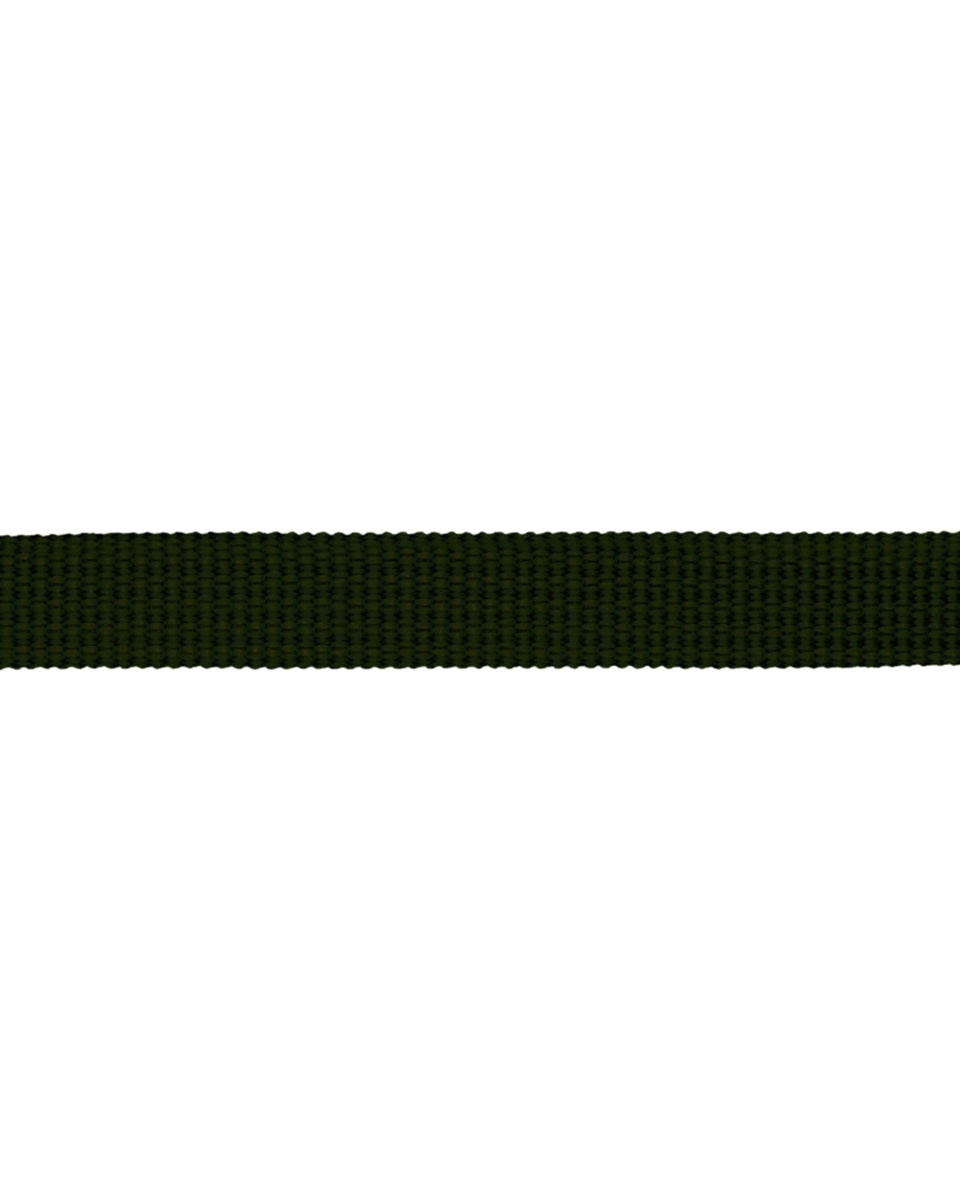 Grosgrain Webbing 10 mm (305) olive green