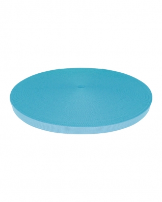 Grosgrain Webbing 10 mm (351) light blue