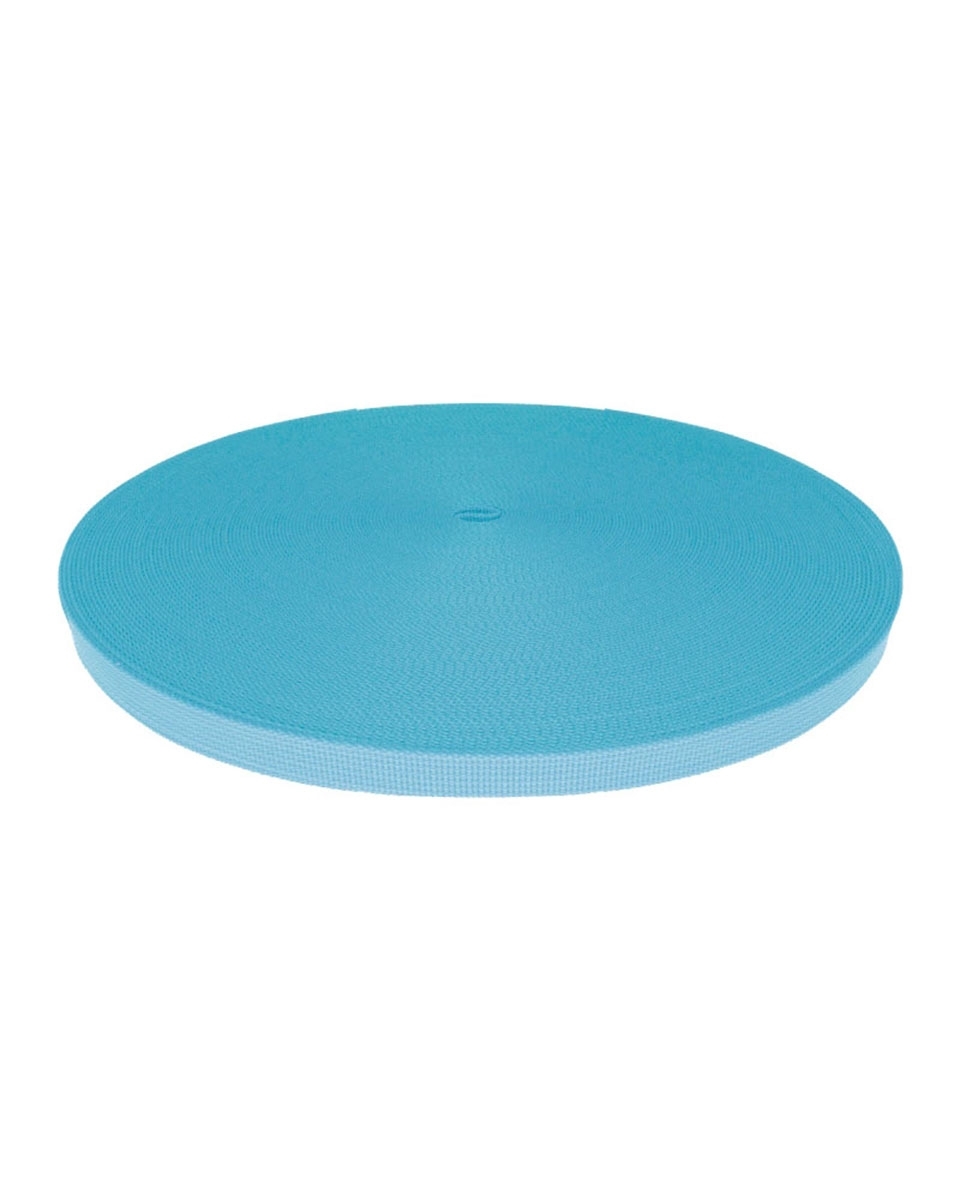 Grosgrain Webbing 10 mm (351) light blue