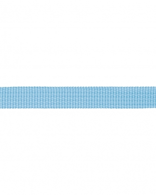 Grosgrain Webbing 10 mm (351) light blue