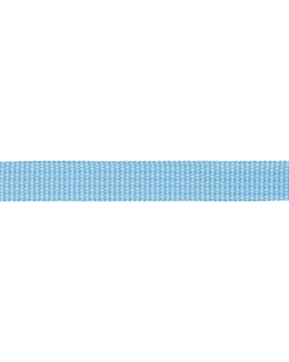 Grosgrain Webbing 10 mm (351) light blue