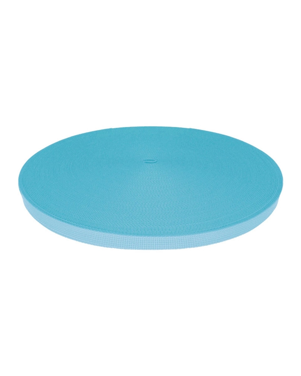 Grosgrain Webbing 15 mm (351) light blue