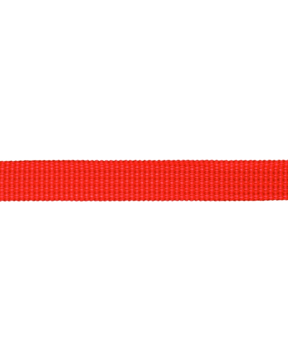 Grosgrain Webbing 10 mm (524) light red