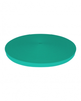 Grosgrain Webbing 10 mm (533) mint