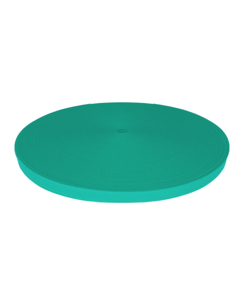 Grosgrain Webbing 10 mm (533) mint