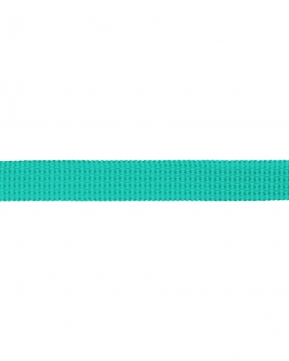 Grosgrain Webbing 10 mm (533) mint