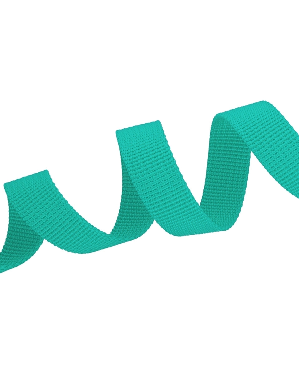 Grosgrain Webbing 15 mm (533) mint