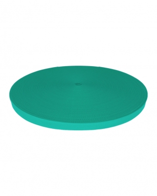 Rips-Trageband 15 mm (533) Mint