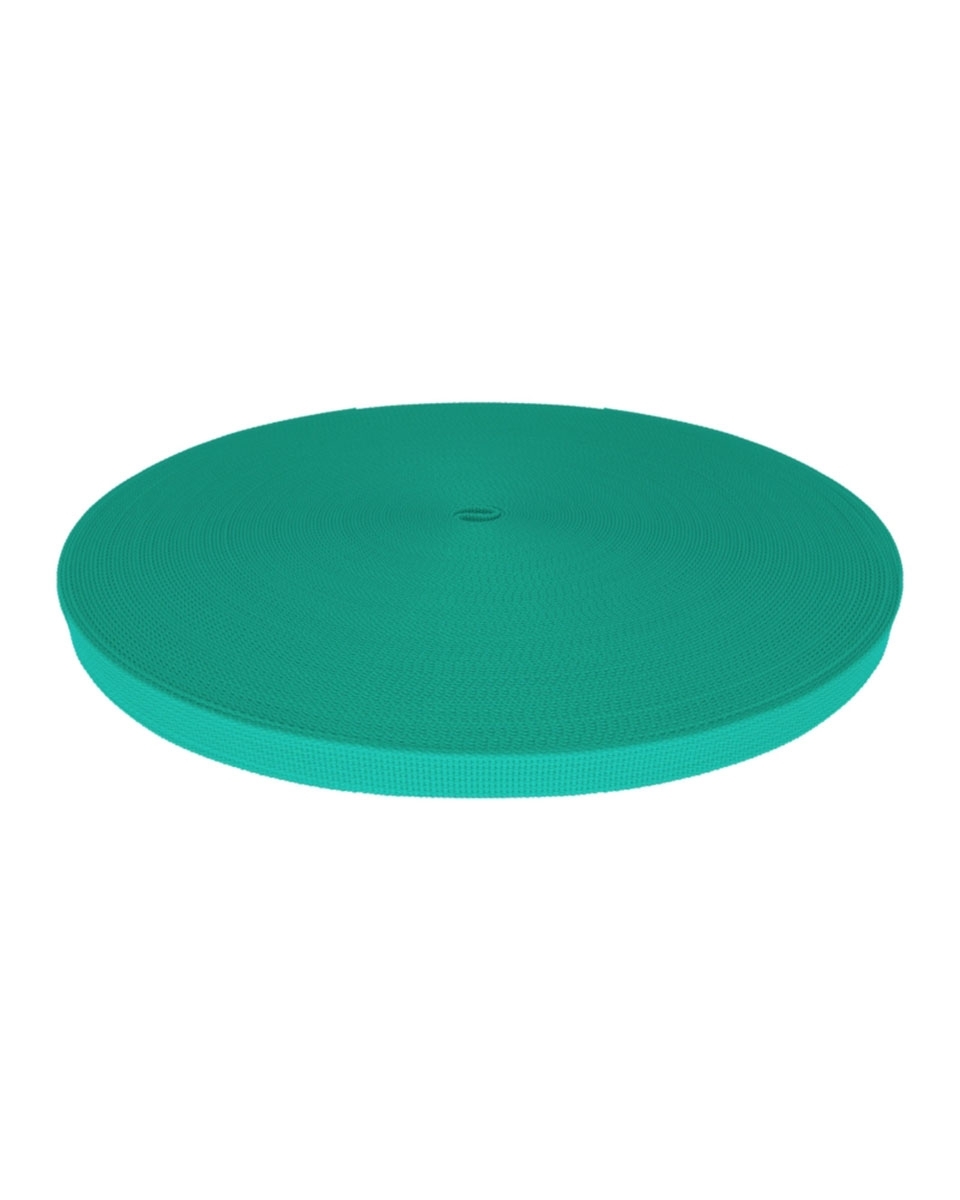 Grosgrain Webbing 15 mm (533) mint