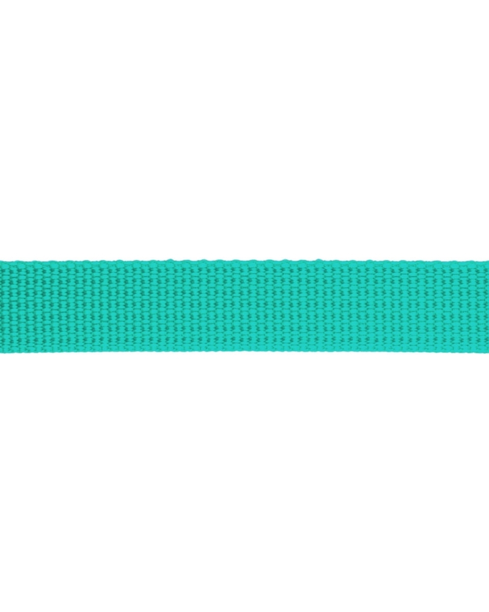 Grosgrain Webbing 15 mm (533) mint