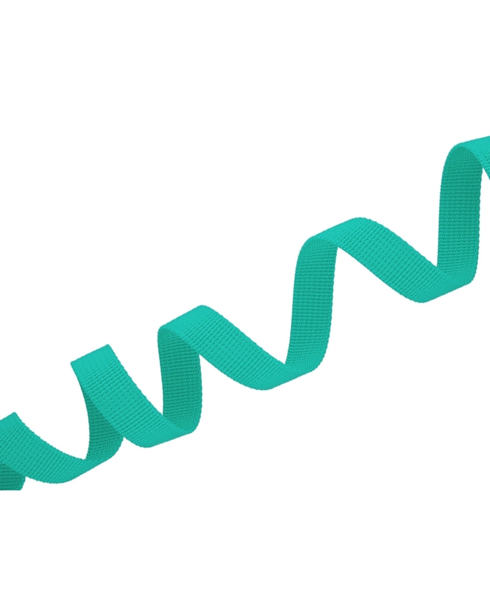 Grosgrain Webbing 15 mm (533) mint