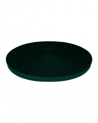 Grosgrain Webbing 10 mm (605) dark teal