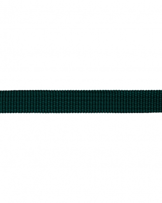 Grosgrain Webbing 10 mm (605) dark teal