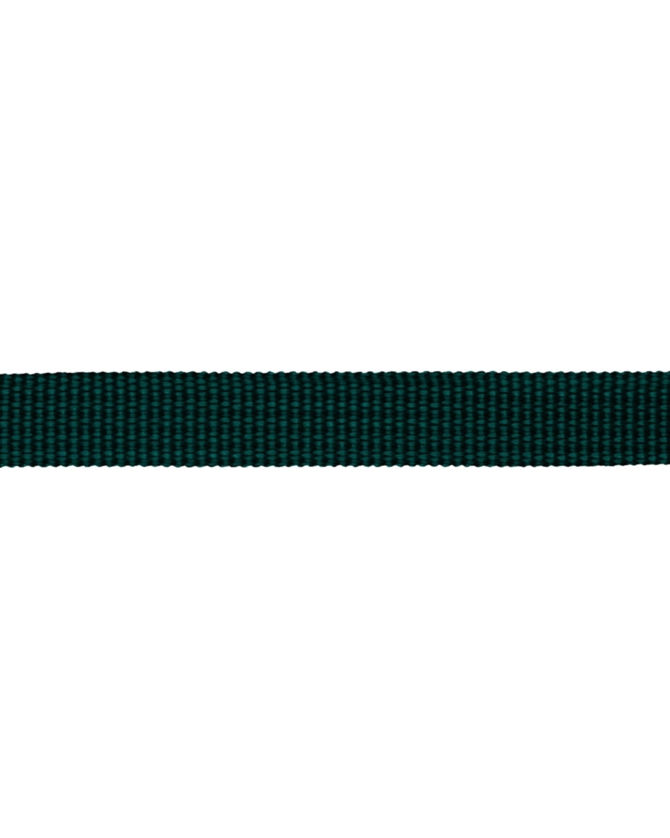 Grosgrain Webbing 10 mm (605) dark teal