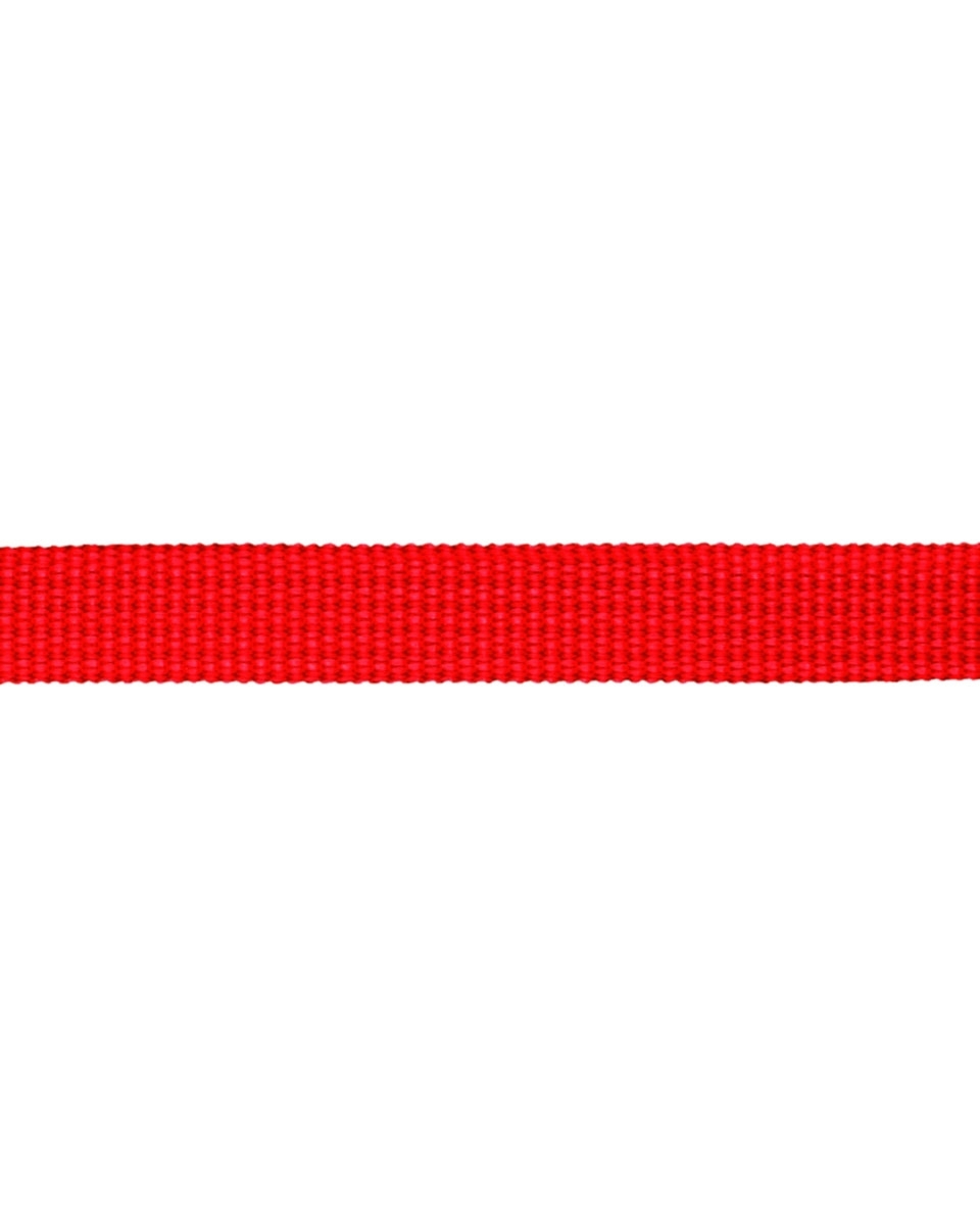 Grosgrain Webbing 10 mm (620) red