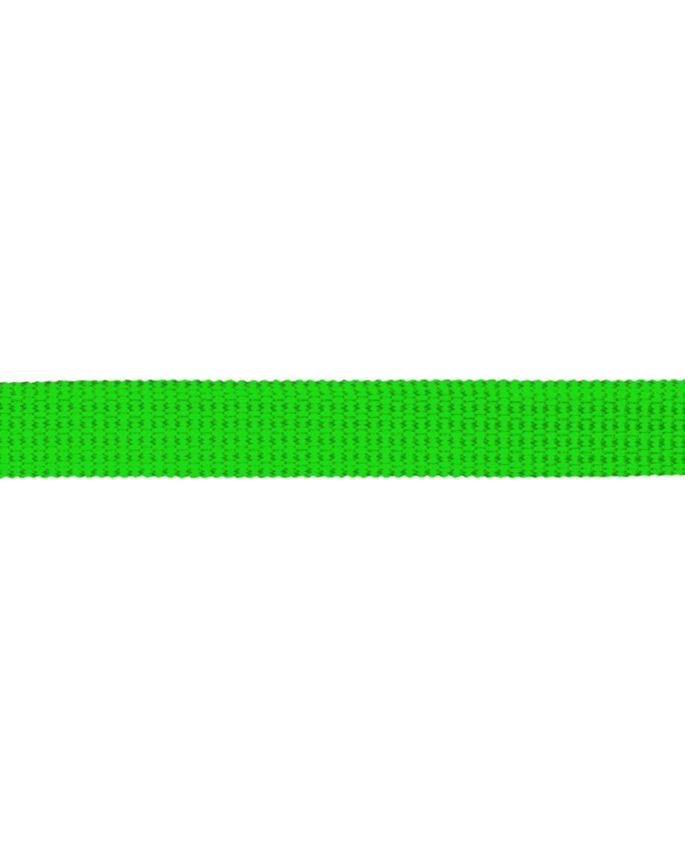 Grosgrain Webbing 10 mm (684) green