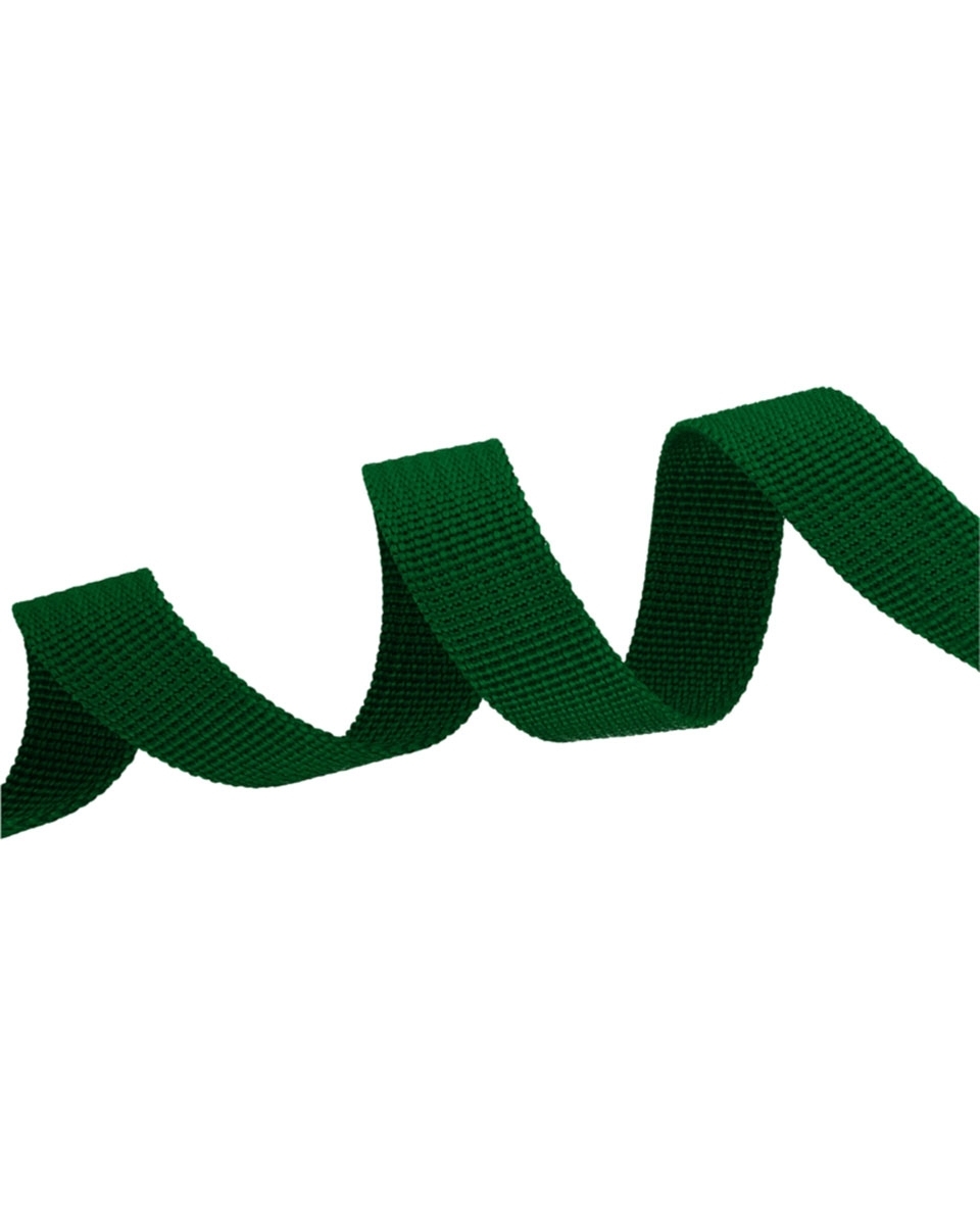 Grosgrain Webbing 10 mm (876) green