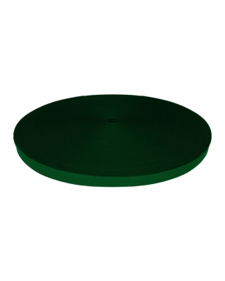 Rips-Trageband 10 mm (876) Grün
