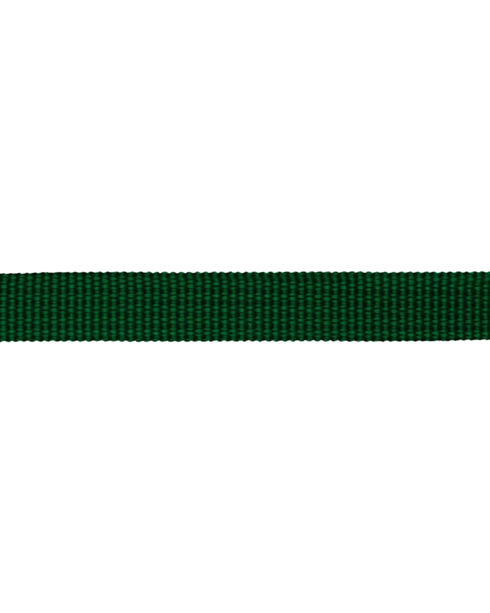 Grosgrain Webbing 10 mm (876) green