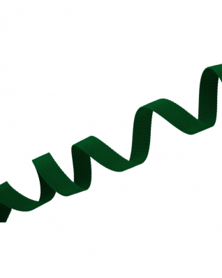Grosgrain Webbing 10 mm (876) green
