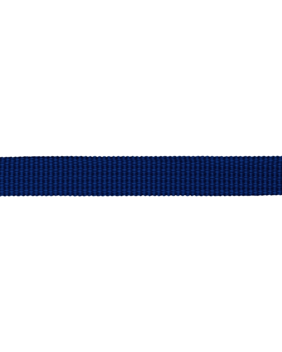 Grosgrain Webbing 10 mm (918/220) cornflower