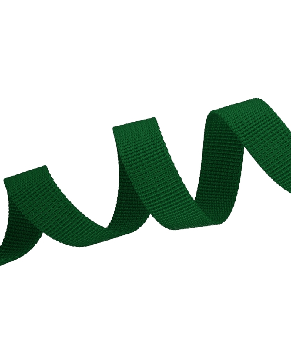 Grosgrain Webbing 15 mm (876) green