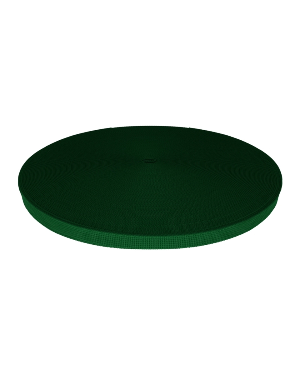 Grosgrain Webbing 15 mm (876) green