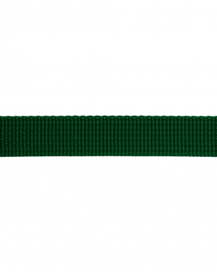 Grosgrain Webbing 15 mm (876) green