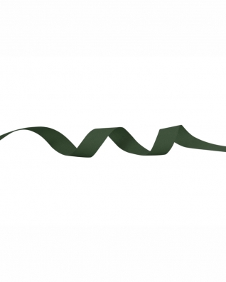 Cotton Twill Tape 10 mm/0,35 mm green (153)
