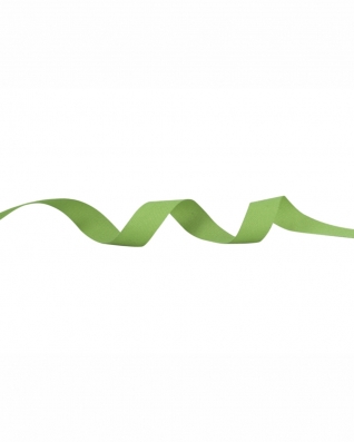 Cotton Twill Tape 20 mm/0,35 mm light green (041)